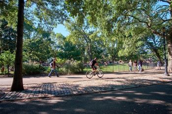 Tompkins square park
